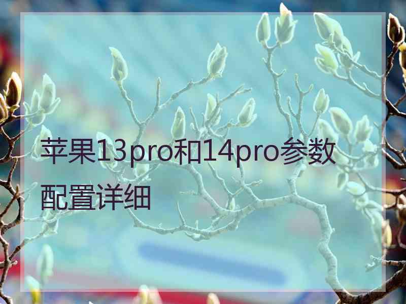 苹果13pro和14pro参数配置详细