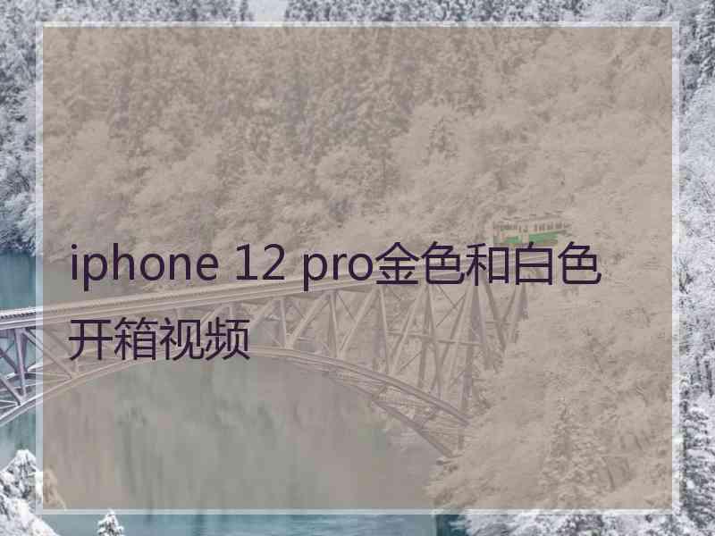 iphone 12 pro金色和白色开箱视频