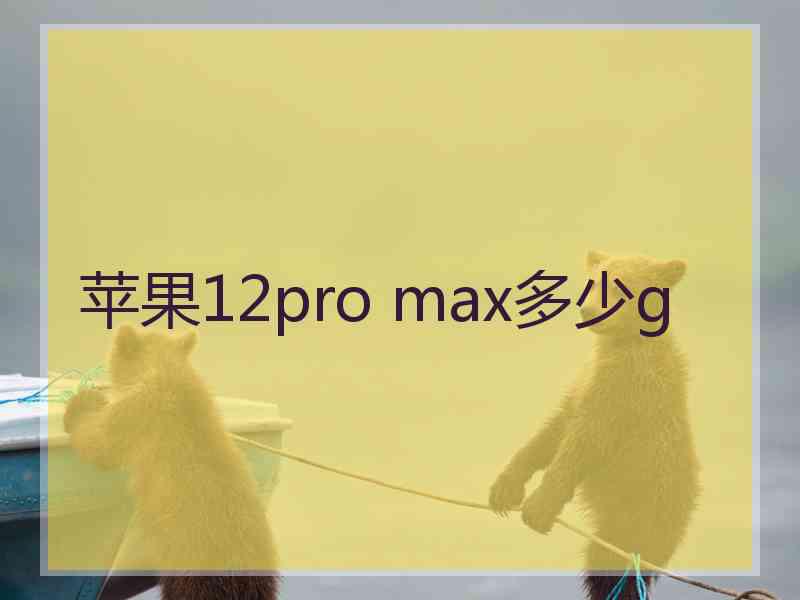 苹果12pro max多少g