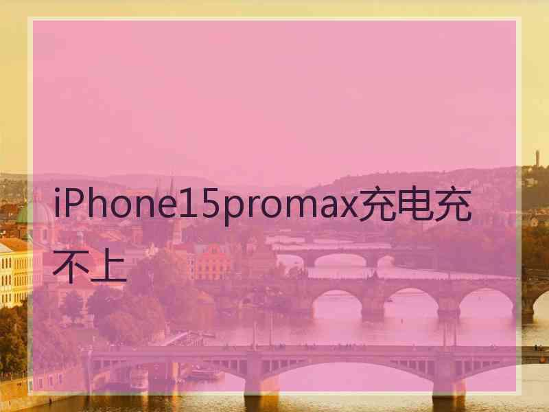 iPhone15promax充电充不上