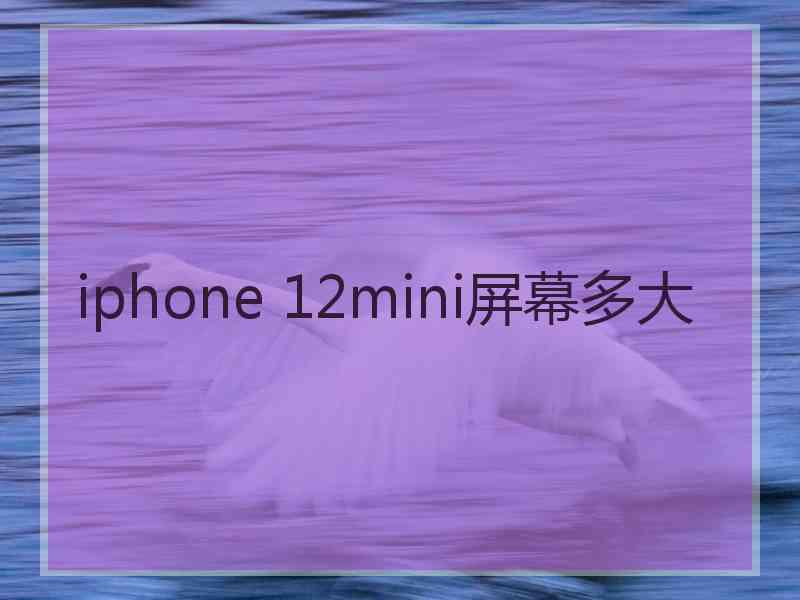 iphone 12mini屏幕多大