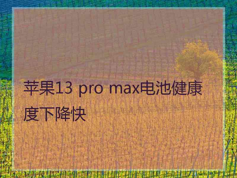 苹果13 pro max电池健康度下降快