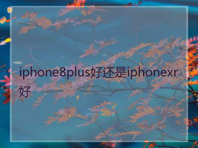 iphone8plus好还是iphonexr好