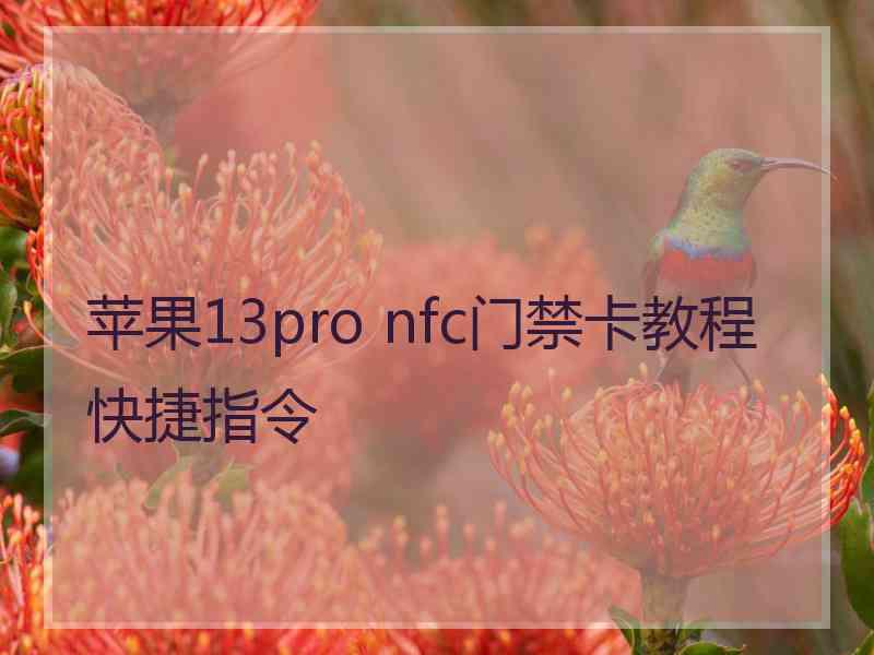 苹果13pro nfc门禁卡教程快捷指令