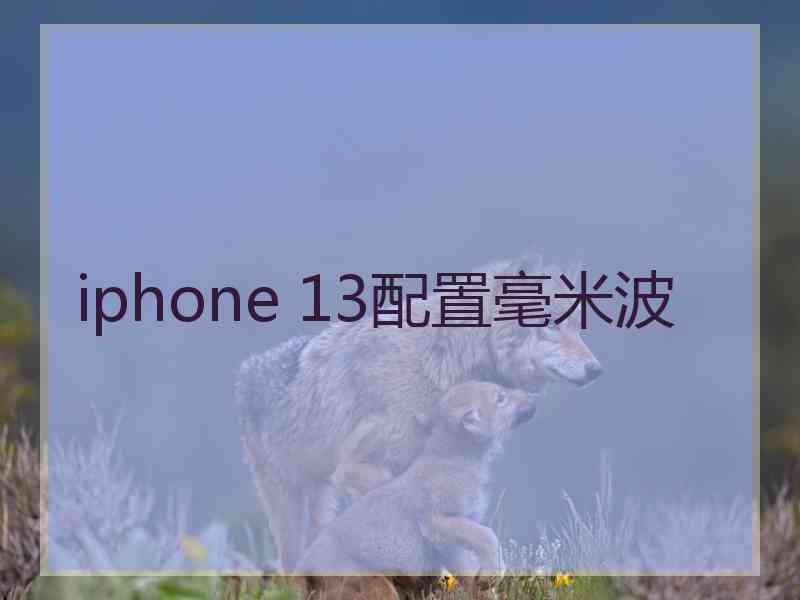 iphone 13配置毫米波