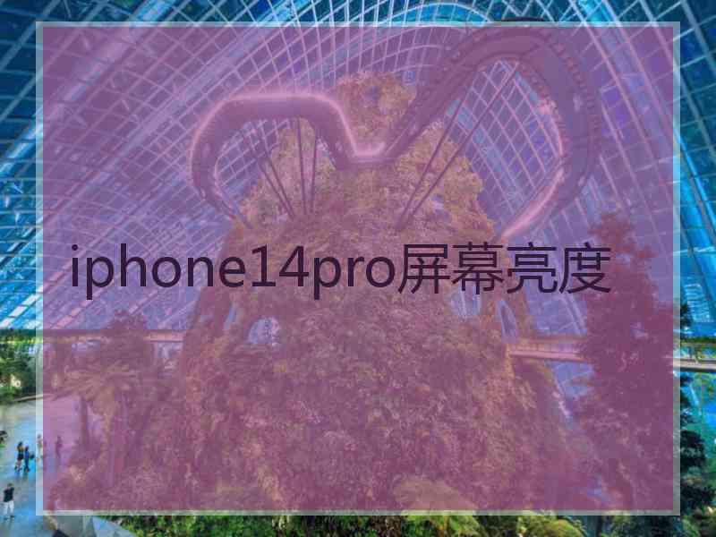 iphone14pro屏幕亮度