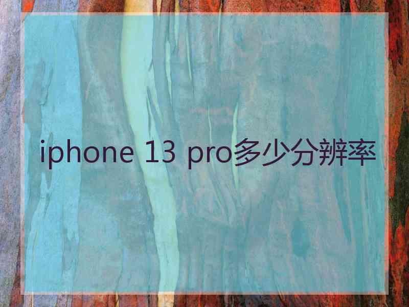 iphone 13 pro多少分辨率