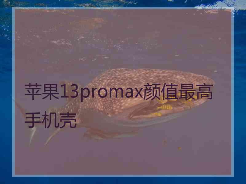 苹果13promax颜值最高手机壳