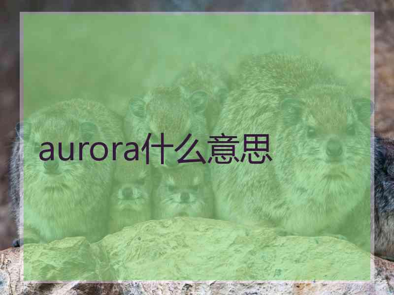 aurora什么意思