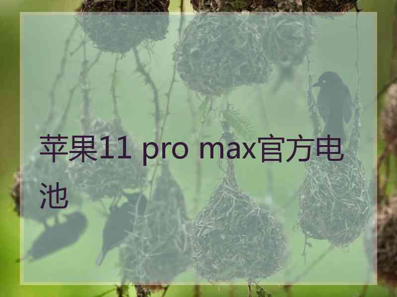 苹果11 pro max官方电池