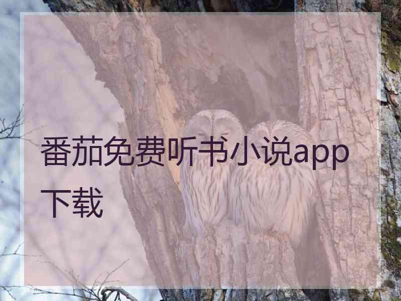 番茄免费听书小说app下载