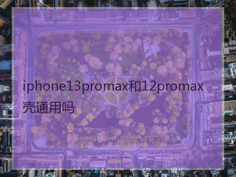 iphone13promax和12promax壳通用吗