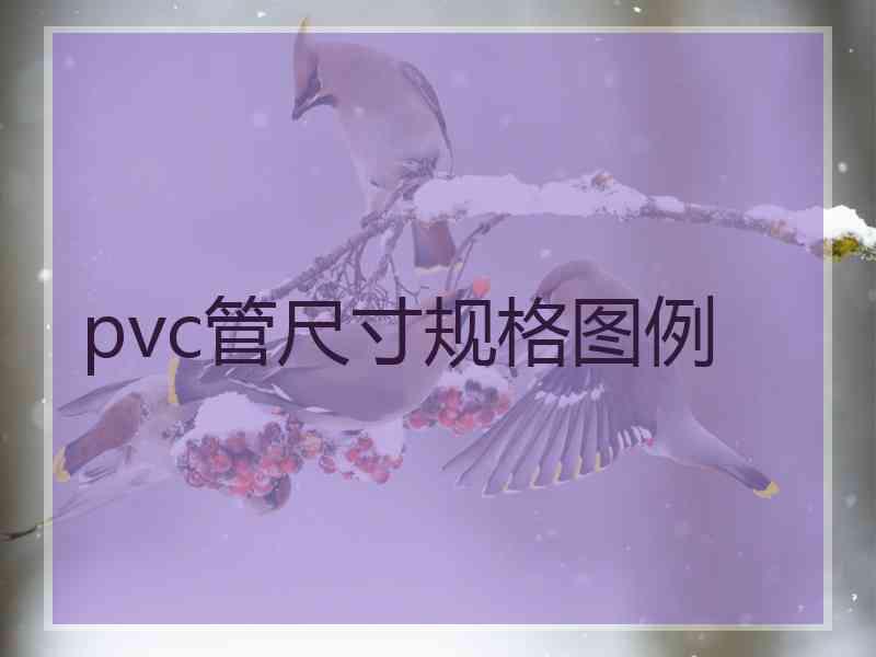 pvc管尺寸规格图例