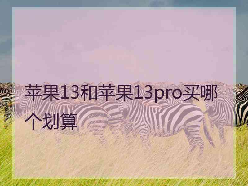 苹果13和苹果13pro买哪个划算