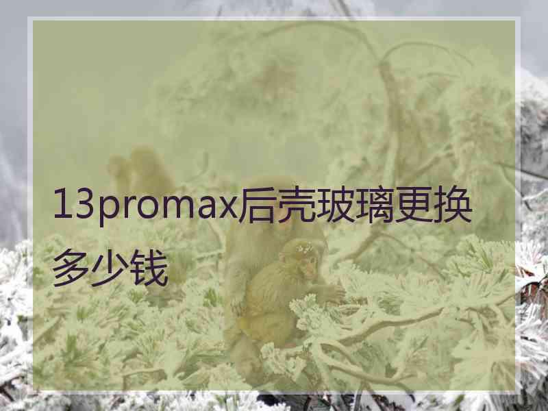 13promax后壳玻璃更换多少钱