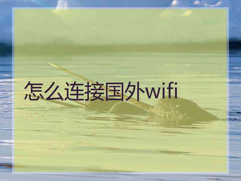 怎么连接国外wifi