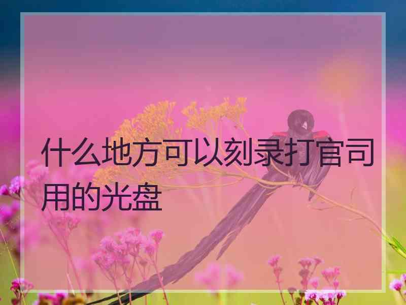 什么地方可以刻录打官司用的光盘