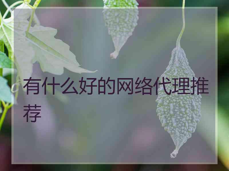 有什么好的网络代理推荐