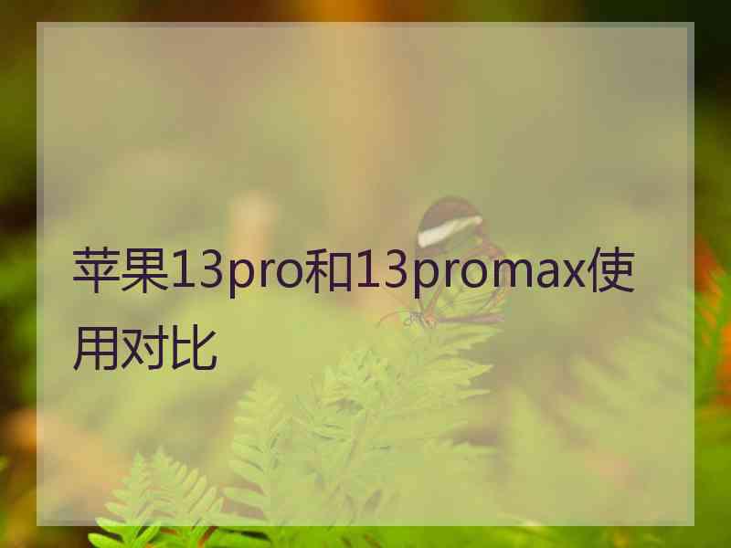 苹果13pro和13promax使用对比