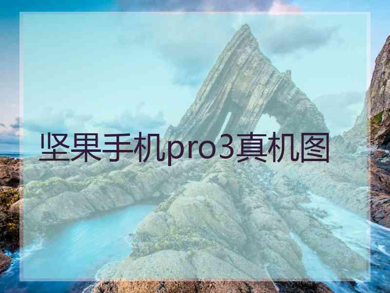 坚果手机pro3真机图