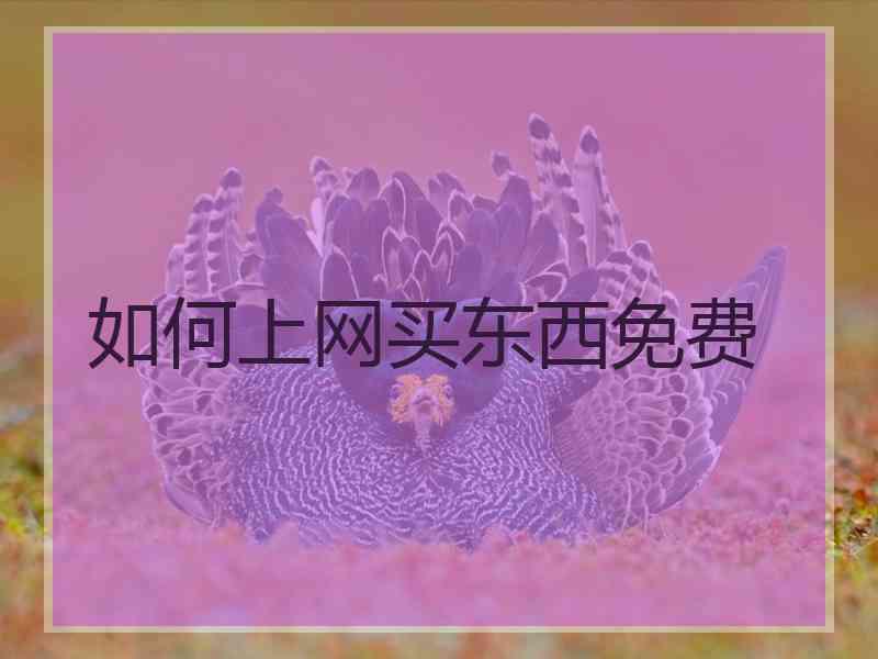 如何上网买东西免费