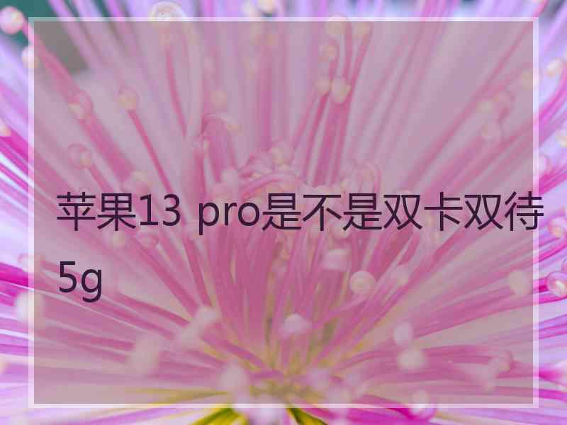 苹果13 pro是不是双卡双待5g