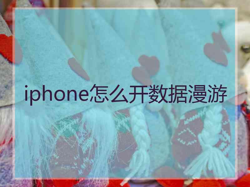 iphone怎么开数据漫游