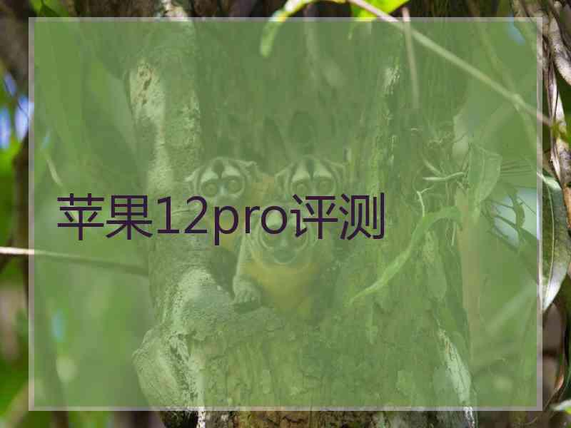 苹果12pro评测