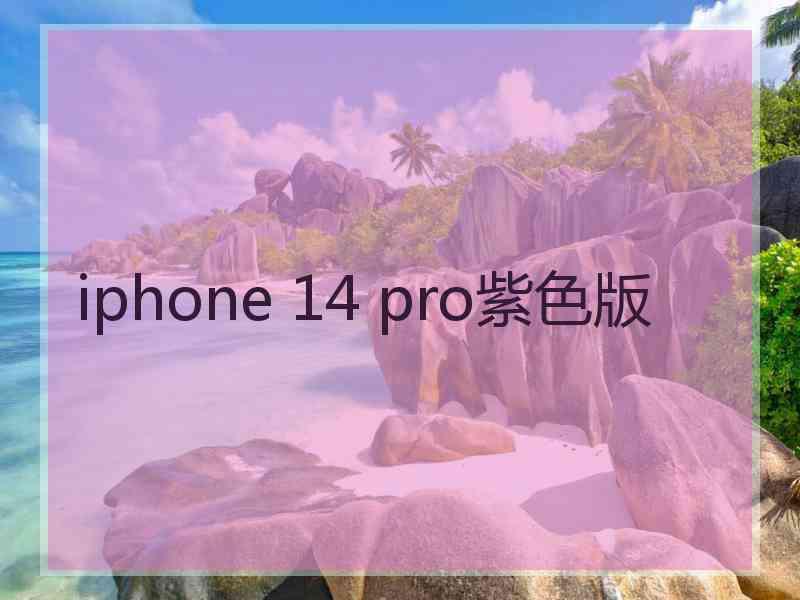 iphone 14 pro紫色版