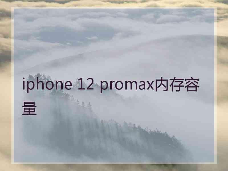 iphone 12 promax内存容量