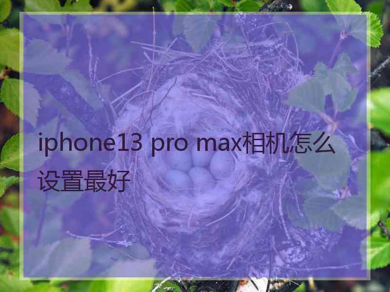 iphone13 pro max相机怎么设置最好