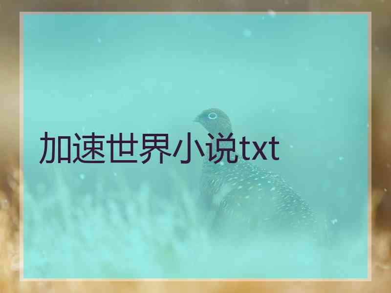 加速世界小说txt