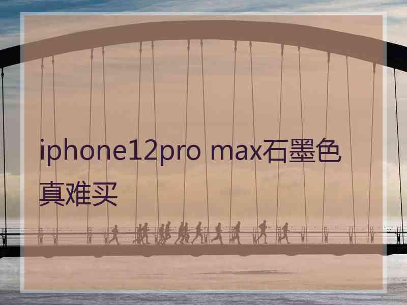 iphone12pro max石墨色真难买