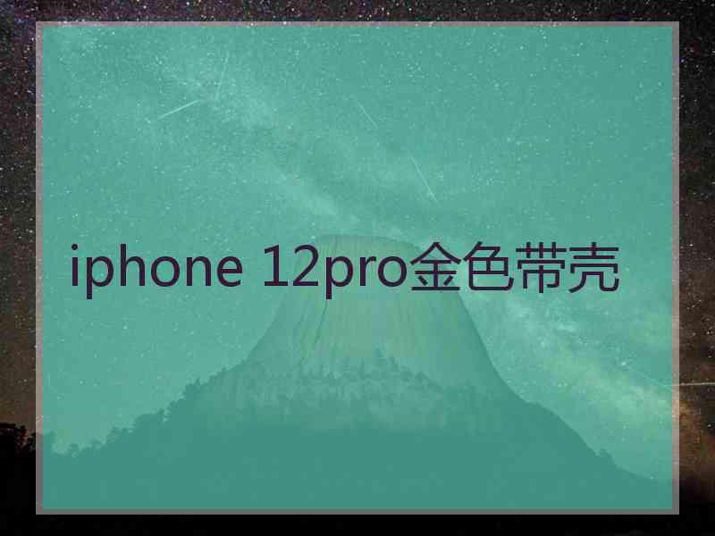 iphone 12pro金色带壳