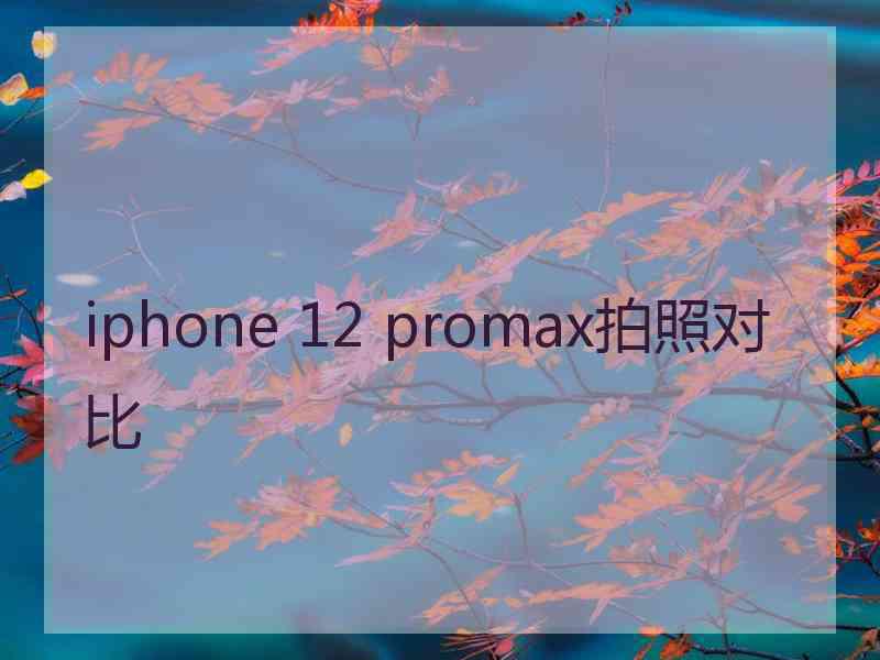 iphone 12 promax拍照对比