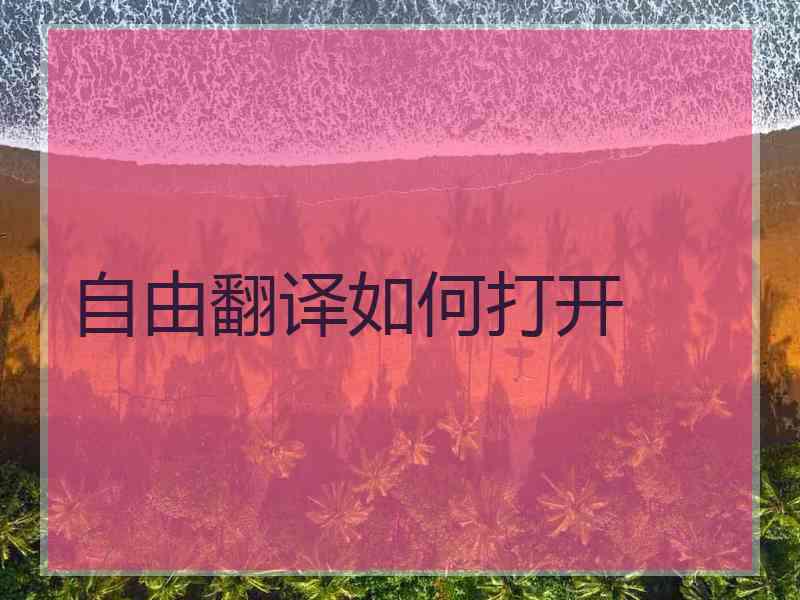 自由翻译如何打开