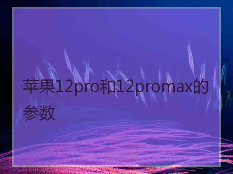 苹果12pro和12promax的参数