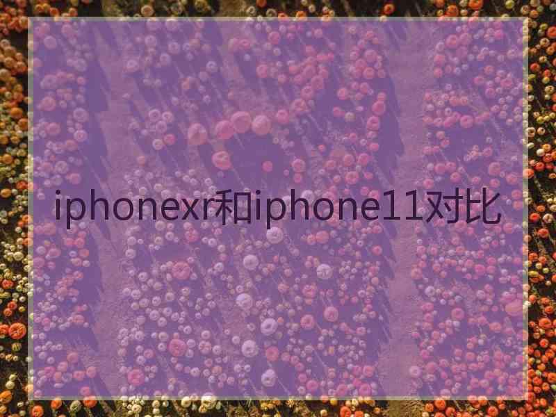 iphonexr和iphone11对比