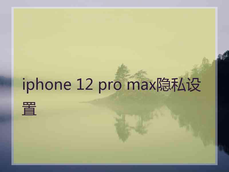 iphone 12 pro max隐私设置