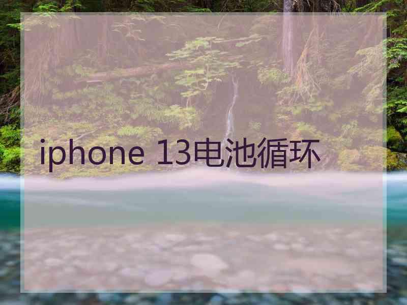 iphone 13电池循环