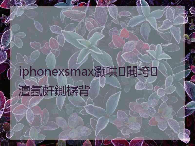 iphonexsmax灏哄闀垮澶氬皯鍘樼背