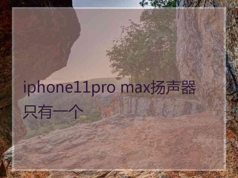 iphone11pro max扬声器只有一个