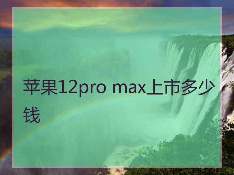 苹果12pro max上市多少钱