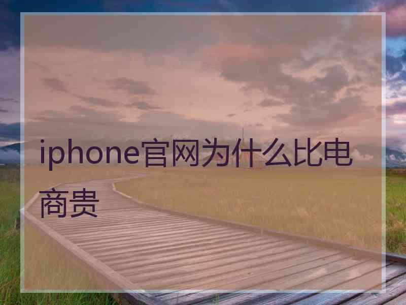 iphone官网为什么比电商贵