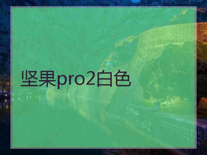 坚果pro2白色