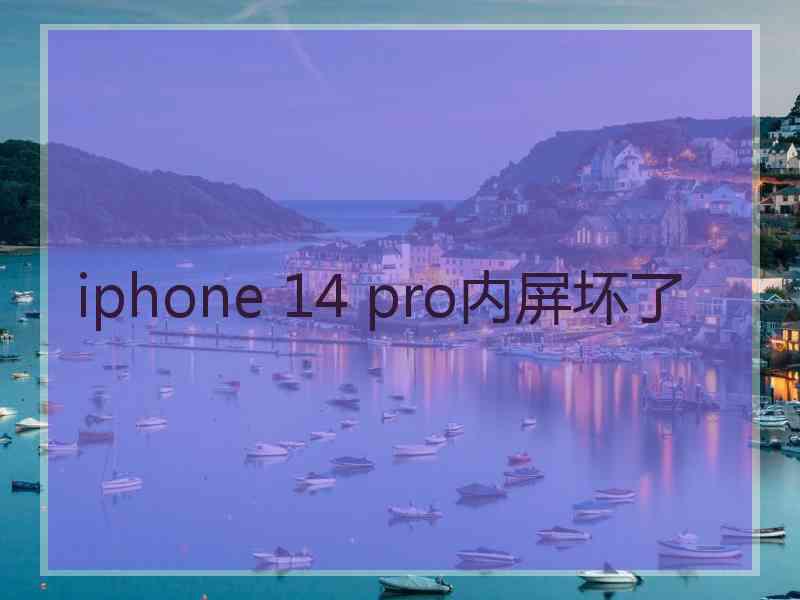 iphone 14 pro内屏坏了