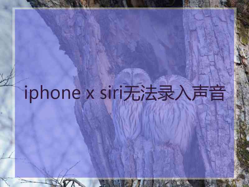 iphone x siri无法录入声音