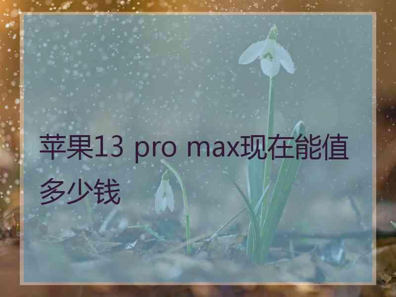 苹果13 pro max现在能值多少钱