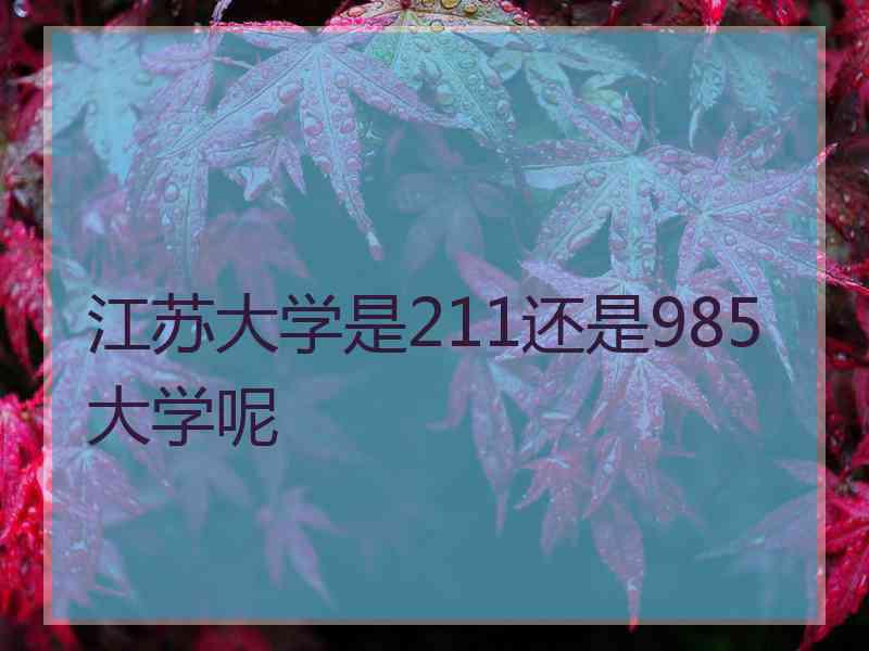 江苏大学是211还是985大学呢