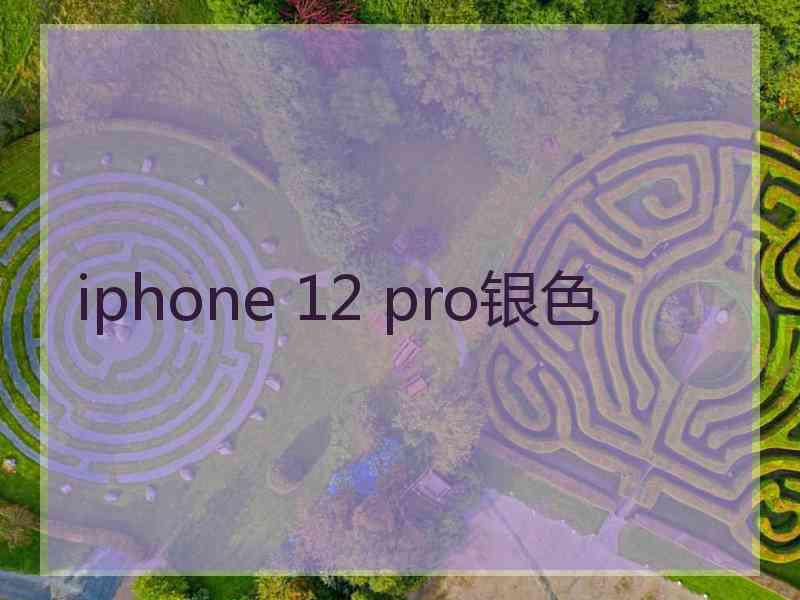 iphone 12 pro银色